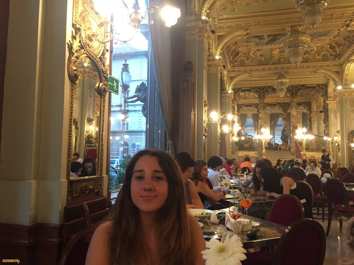 5D593789-07F3-4134-95D3-33EEFC39F8DF.jpeg