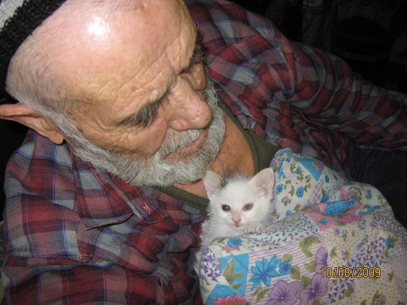 6 Ankara KediciÃƒÂƒÃ‚Â„ÃƒÂ‚Ã‚ÂŸi.jpg