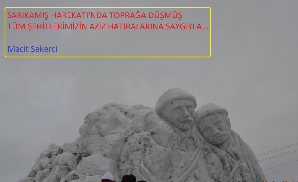 62.jpg