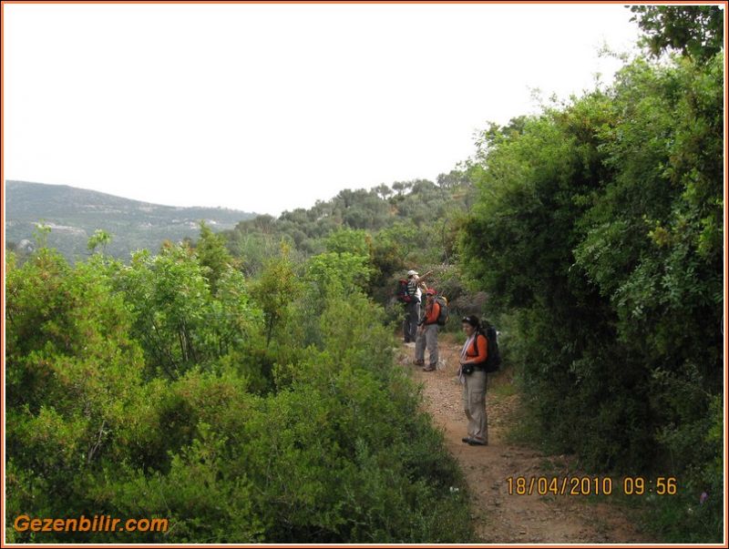 63 - Homeros 018.jpg