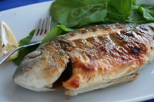 634071805070156250balik türleri- icon.jpg