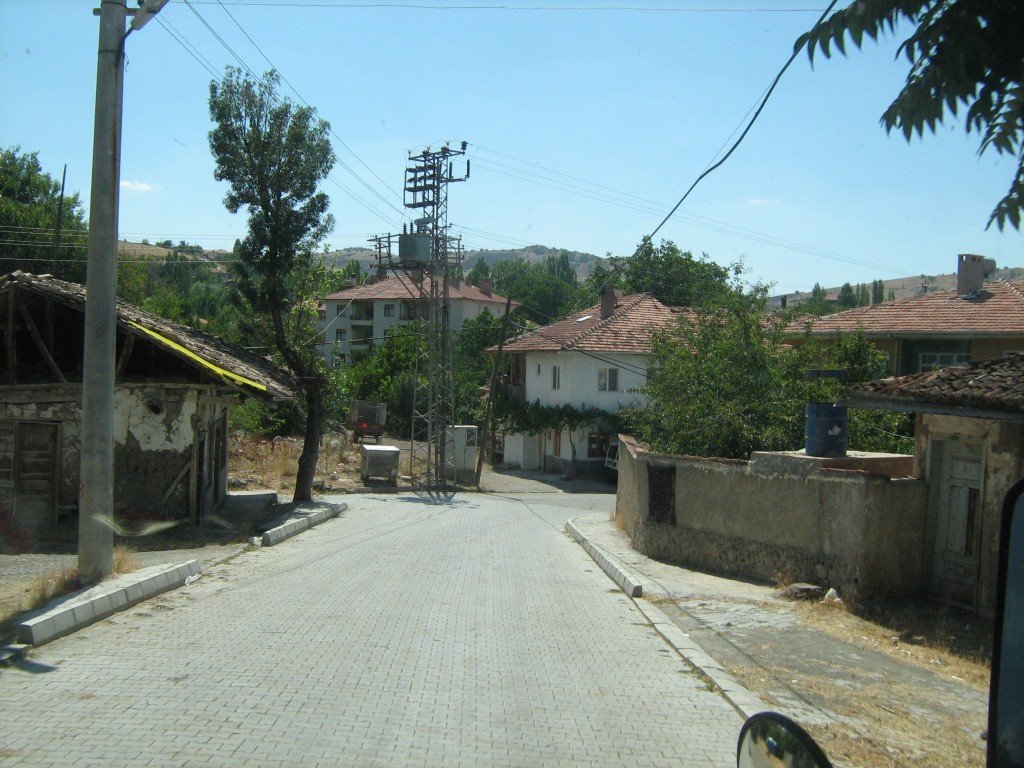 649.JPG