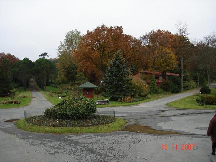 670664.jpg