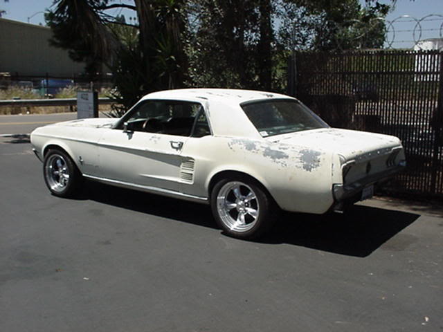 6720mustang20project20stangs.jpg
