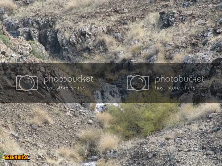 6988_2689483364756_1486642166_2986219_1424246259_n.jpg