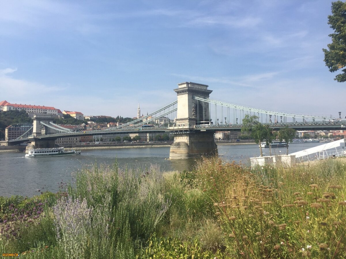 6FF84920-D64F-4202-B8E5-3F239C3D8E54.jpeg