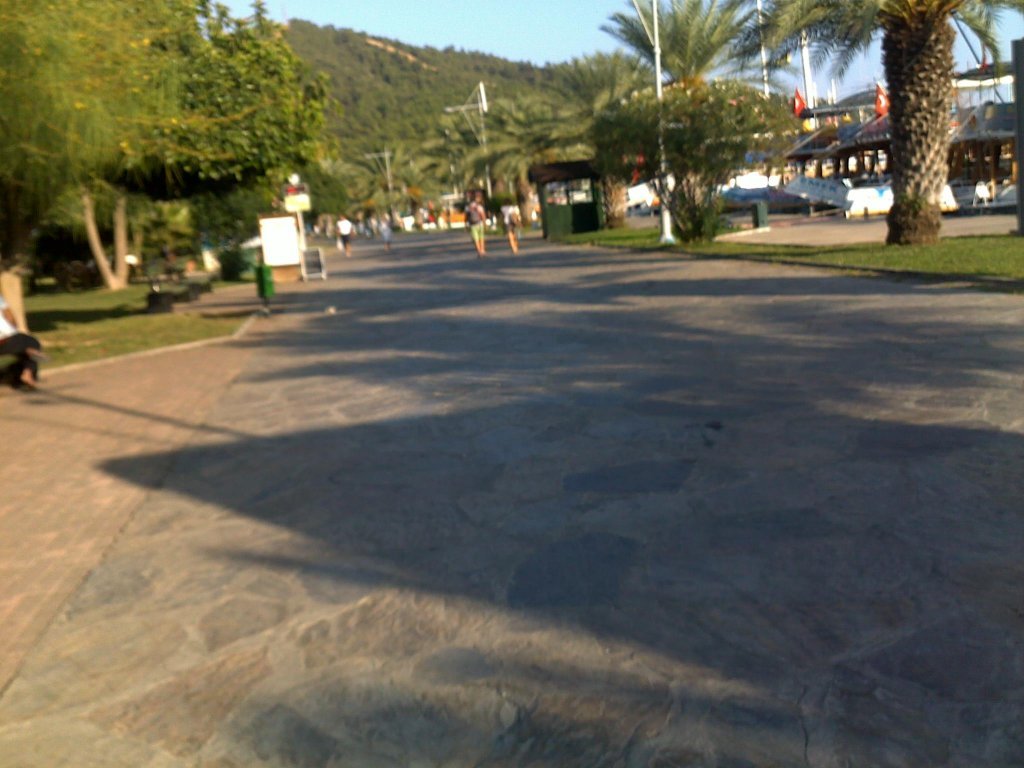 711.jpg