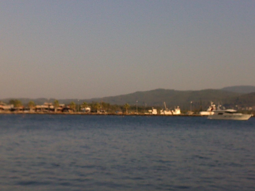 765.jpg