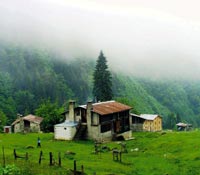 7f0b8da6-5d8a-47f4-8c88-59fe2dee4a91.jpg