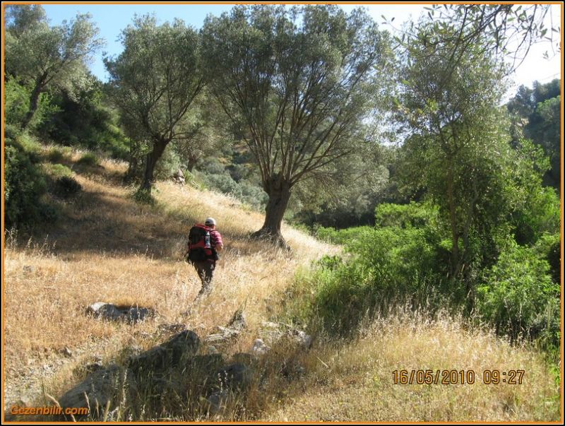 8 - ÃƒÂƒÃ‚ÂƒÃƒÂ‚Ã‚Â‡atalkayalar (16 MayÃƒÂƒÃ‚Â„ÃƒÂ‚Ã‚Â±s)  002.jpg