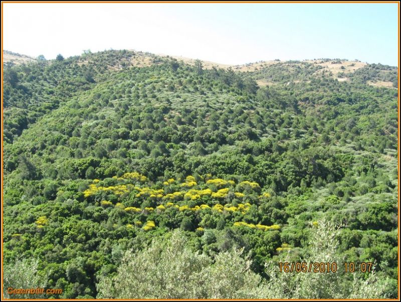 8 - ÃƒÂƒÃ‚ÂƒÃƒÂ‚Ã‚Â‡atalkayalar (16 MayÃƒÂƒÃ‚Â„ÃƒÂ‚Ã‚Â±s)  008.jpg