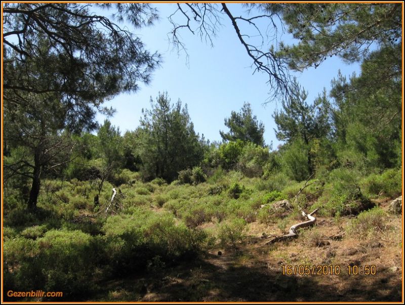 8 - ÃƒÂƒÃ‚ÂƒÃƒÂ‚Ã‚Â‡atalkayalar (16 MayÃƒÂƒÃ‚Â„ÃƒÂ‚Ã‚Â±s)  014.jpg