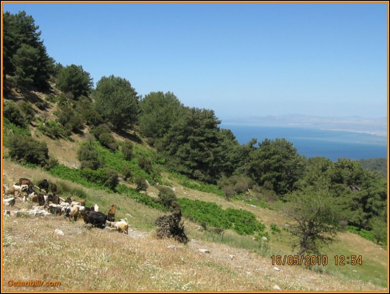 8 - ÃƒÂƒÃ‚ÂƒÃƒÂ‚Ã‚Â‡atalkayalar (16 MayÃƒÂƒÃ‚Â„ÃƒÂ‚Ã‚Â±s)  026.jpg