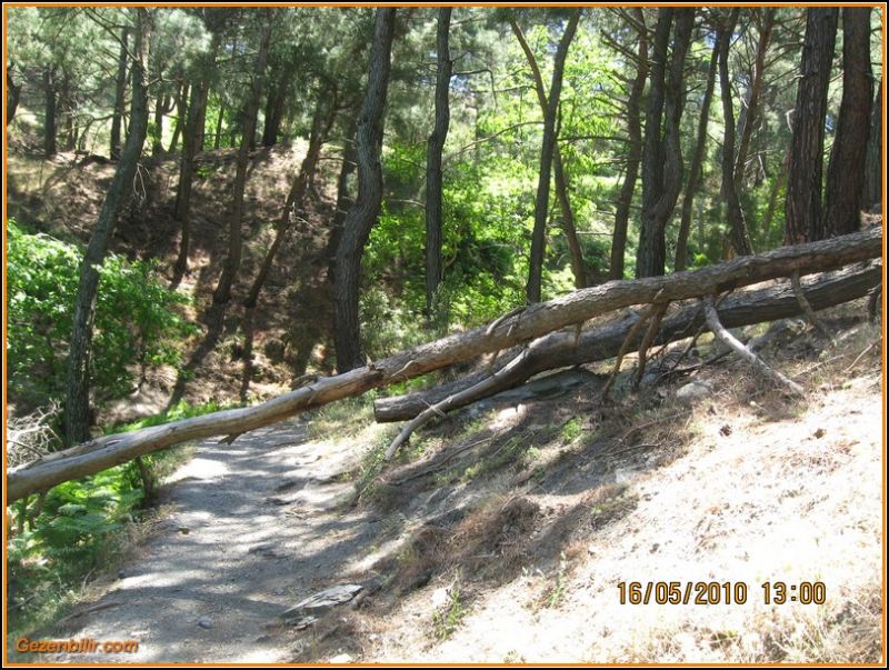 8 - ÃƒÂƒÃ‚ÂƒÃƒÂ‚Ã‚Â‡atalkayalar (16 MayÃƒÂƒÃ‚Â„ÃƒÂ‚Ã‚Â±s)  028.jpg