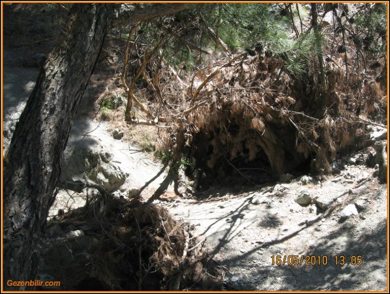 8 - ÃƒÂƒÃ‚ÂƒÃƒÂ‚Ã‚Â‡atalkayalar (16 MayÃƒÂƒÃ‚Â„ÃƒÂ‚Ã‚Â±s)  029.jpg