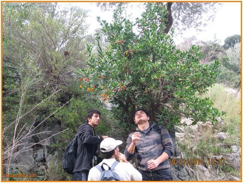 8 - GÃƒÂƒÃ‚ÂƒÃƒÂ‚Ã‚Â¼zelbahÃƒÂƒÃ‚ÂƒÃƒÂ‚Ã‚Â§e (10 Ocak) 011.jpg