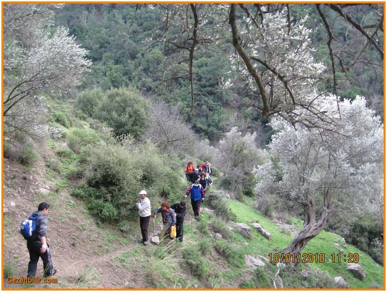 8 - GÃƒÂƒÃ‚ÂƒÃƒÂ‚Ã‚Â¼zelbahÃƒÂƒÃ‚ÂƒÃƒÂ‚Ã‚Â§e (10 Ocak) 024.jpg