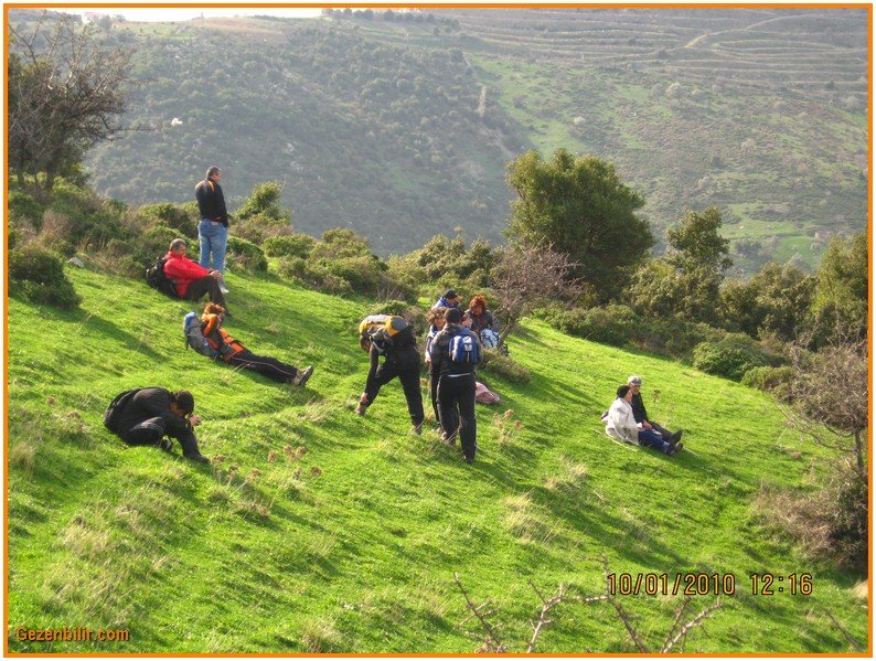 8 - GÃƒÂƒÃ‚ÂƒÃƒÂ‚Ã‚Â¼zelbahÃƒÂƒÃ‚ÂƒÃƒÂ‚Ã‚Â§e (10 Ocak) 033.jpg