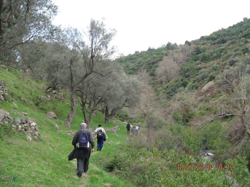 8 - GÃƒÂƒÃ‚ÂƒÃƒÂ‚Ã‚Â¼zelbahÃƒÂƒÃ‚ÂƒÃƒÂ‚Ã‚Â§e (10 Ocak) 062.jpg