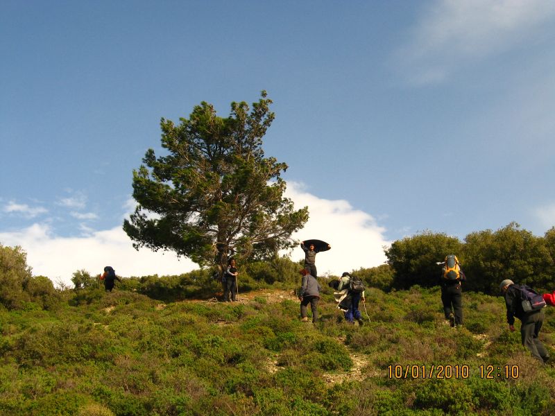 8 - GÃƒÂƒÃ‚ÂƒÃƒÂ‚Ã‚Â¼zelbahÃƒÂƒÃ‚ÂƒÃƒÂ‚Ã‚Â§e (10 Ocak) 091.jpg