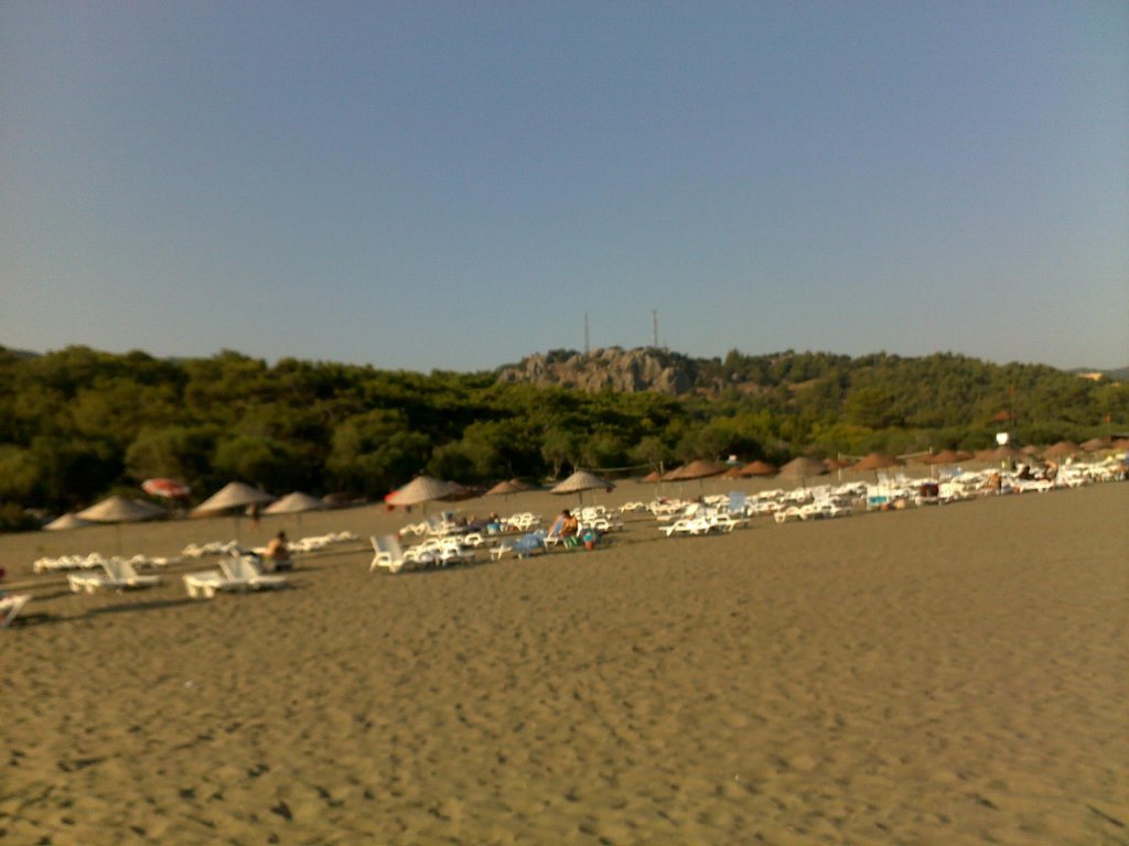 805.jpg