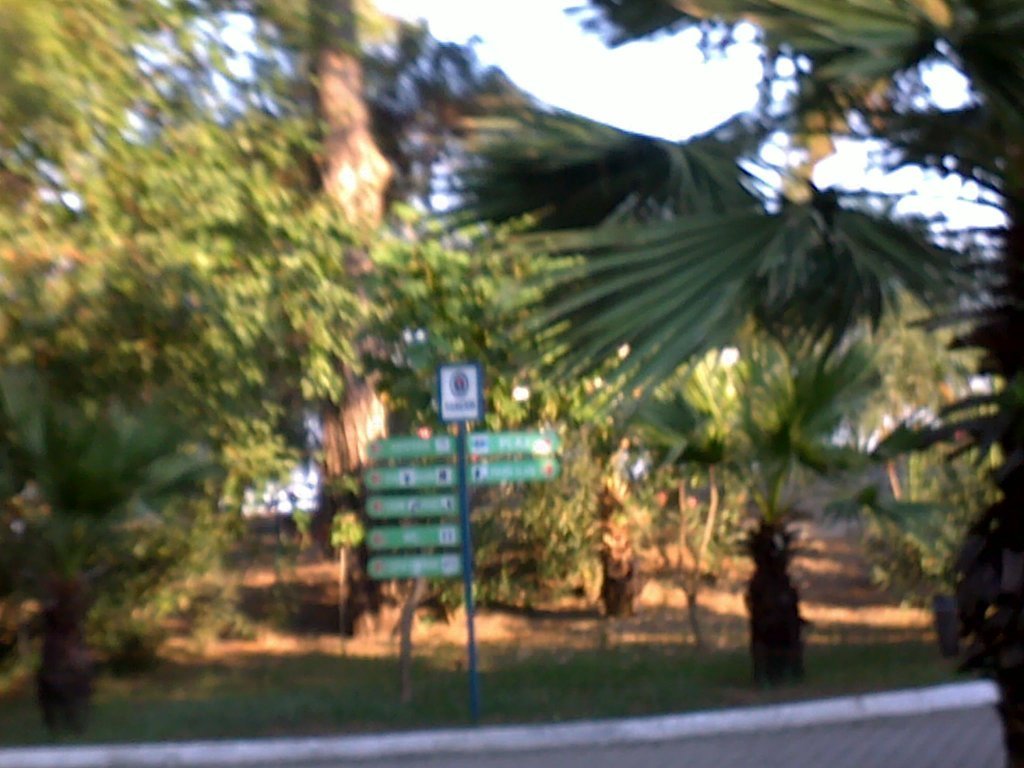 812.jpg