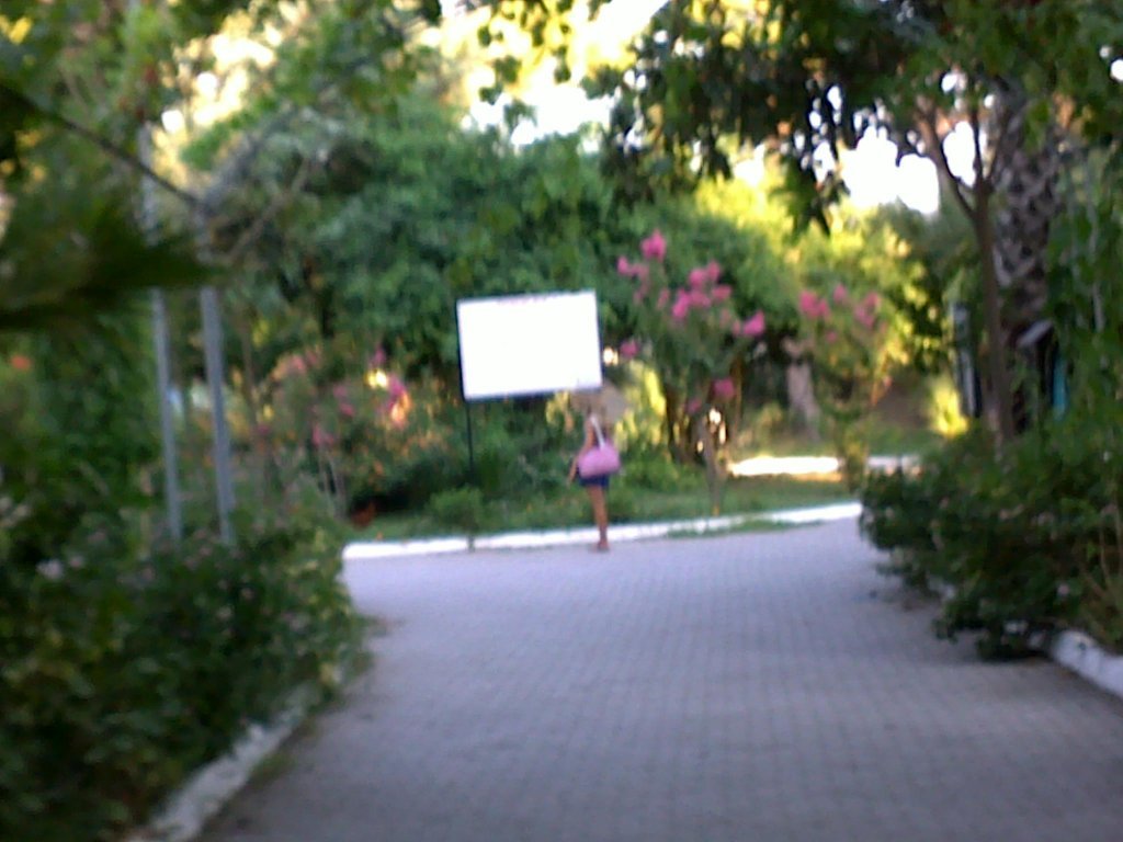 813.jpg