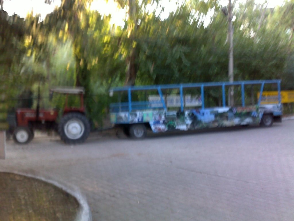 814.jpg