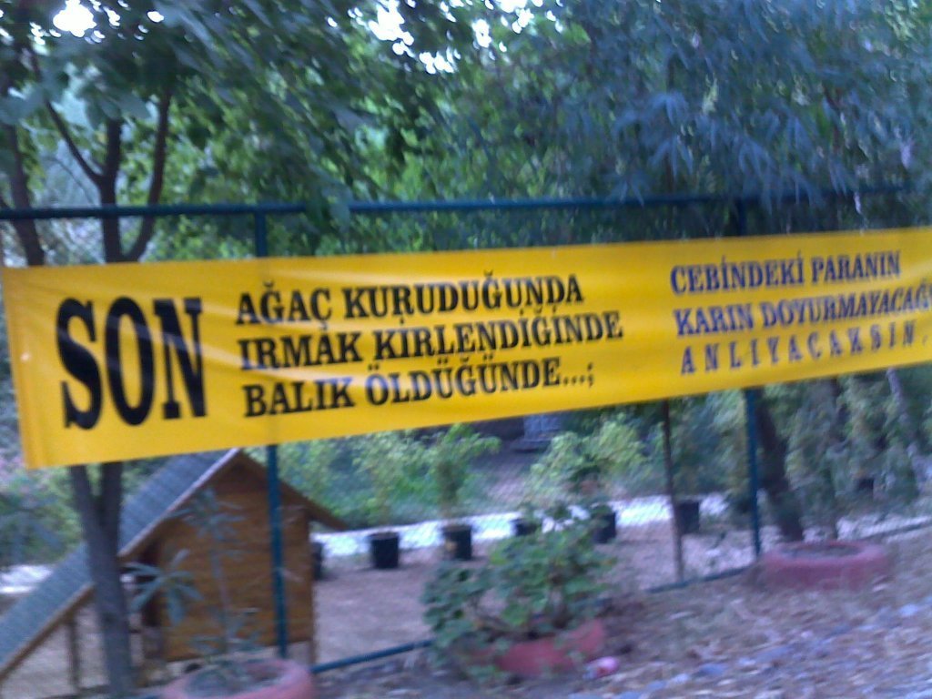 815.jpg
