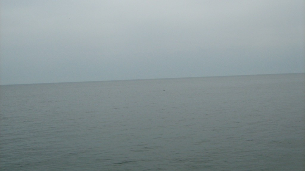 828.JPG