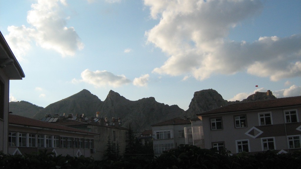 878.JPG