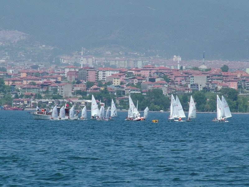 88.jpg