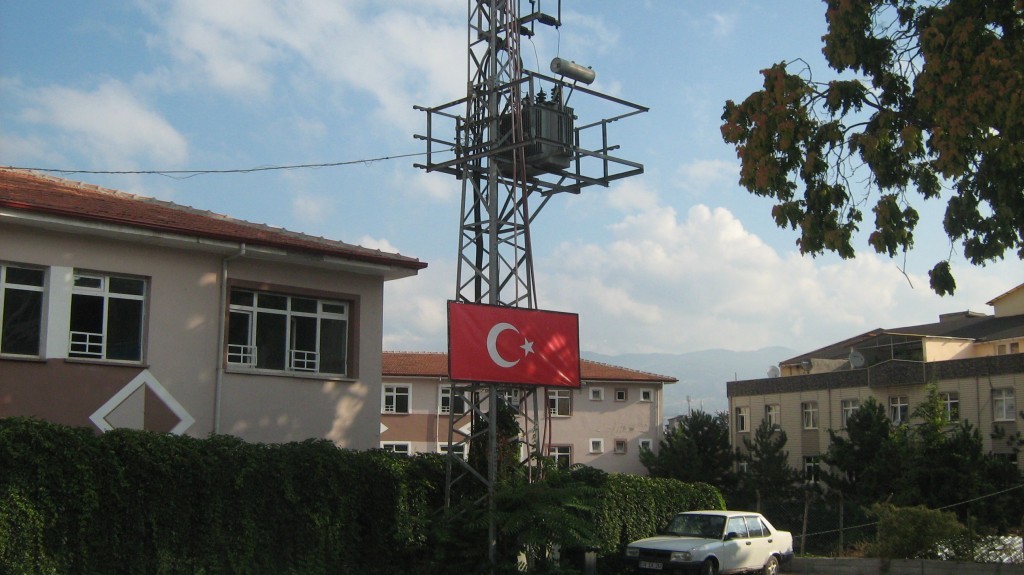 880.JPG