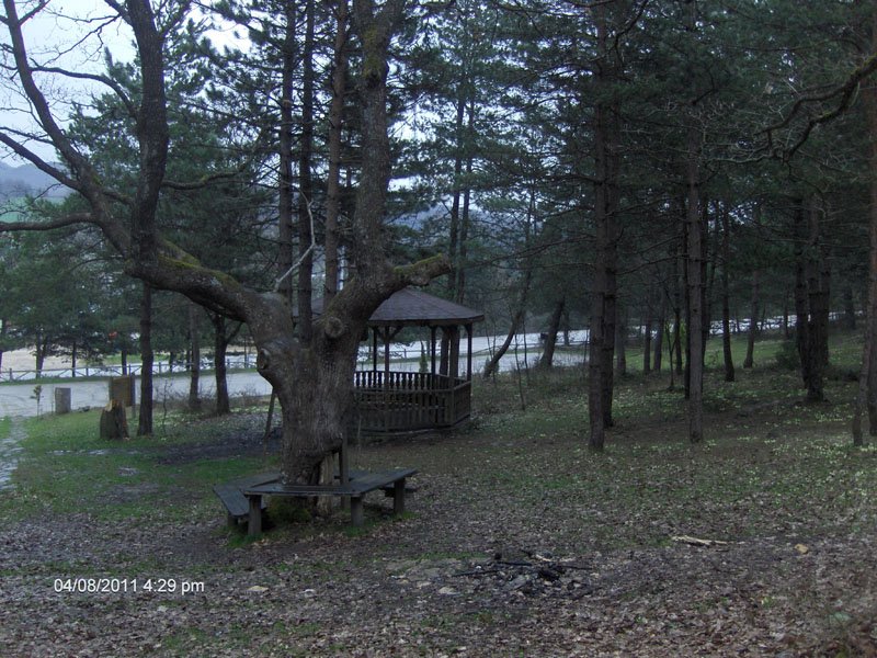 9 NÃƒÂƒÃ‚Â„ÃƒÂ‚Ã‚Â°SAN 2011 BOLU 011.jpg