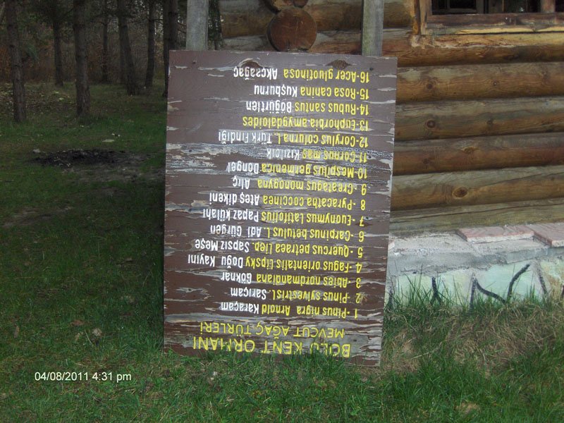 9 NÃƒÂƒÃ‚Â„ÃƒÂ‚Ã‚Â°SAN 2011 BOLU 015.jpg