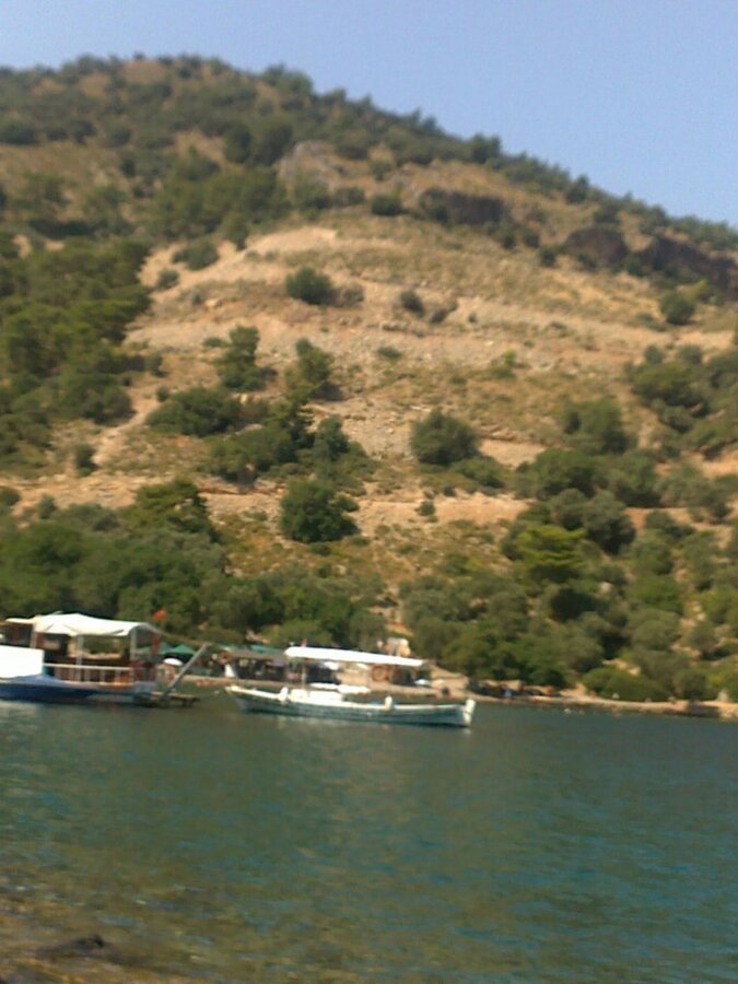 909.jpg
