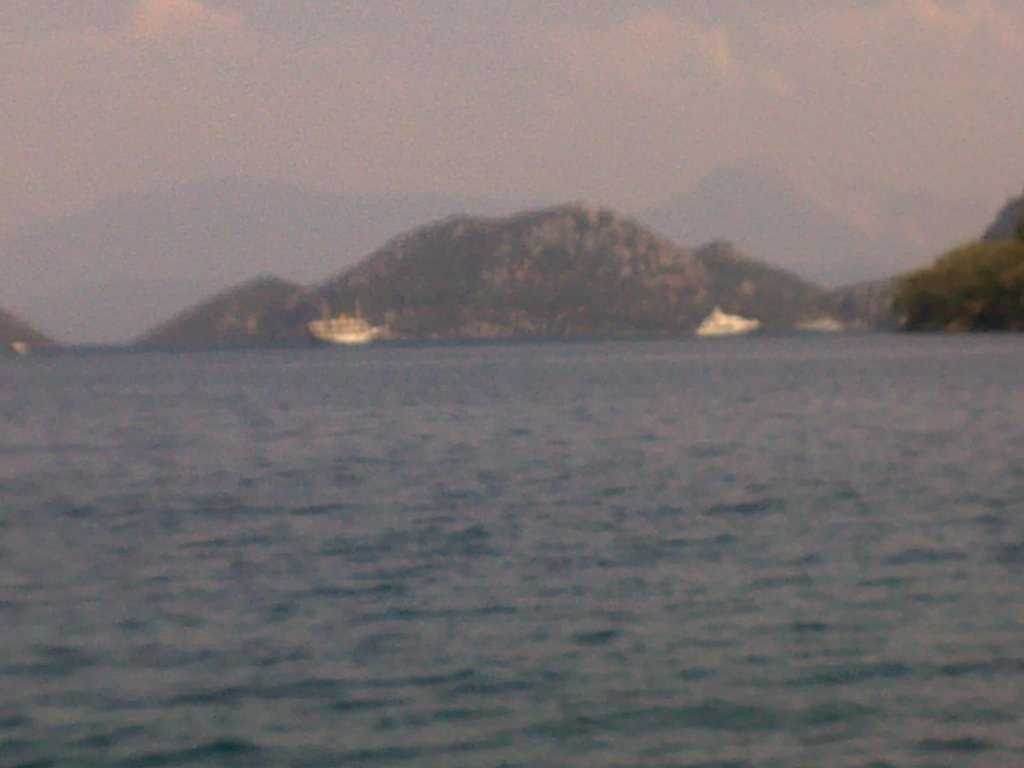 910.jpg