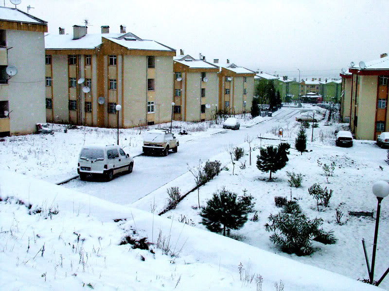 92.jpg