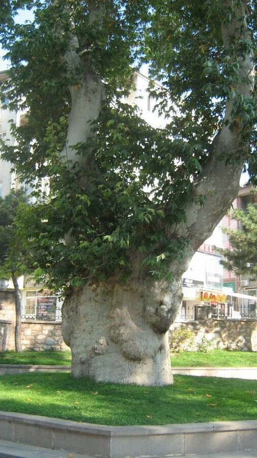 920.JPG