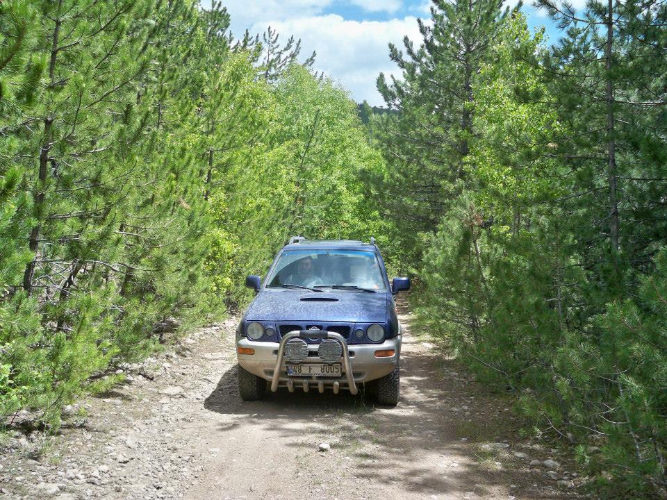 943254_10200738916368149_610457062_n (1).jpg