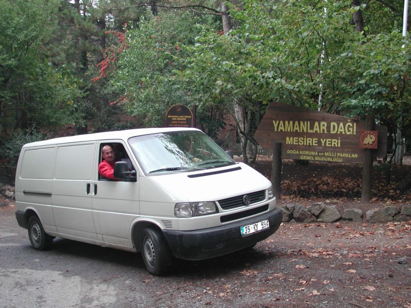 95.jpg