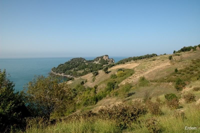 96a699b5.jpg