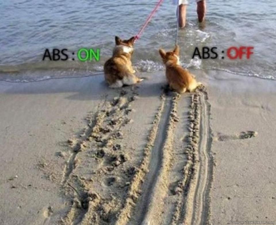 981ABS_on_off.jpg