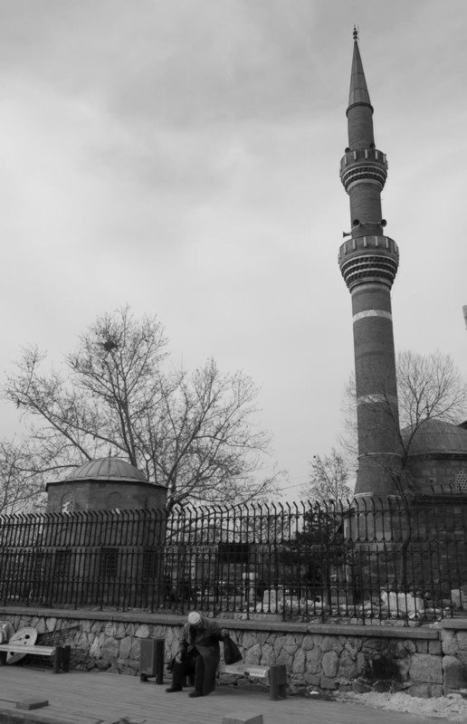 _DSC0003.jpg