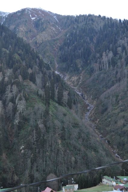 _DSC0010.jpg