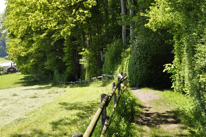 _DSC0071.jpg