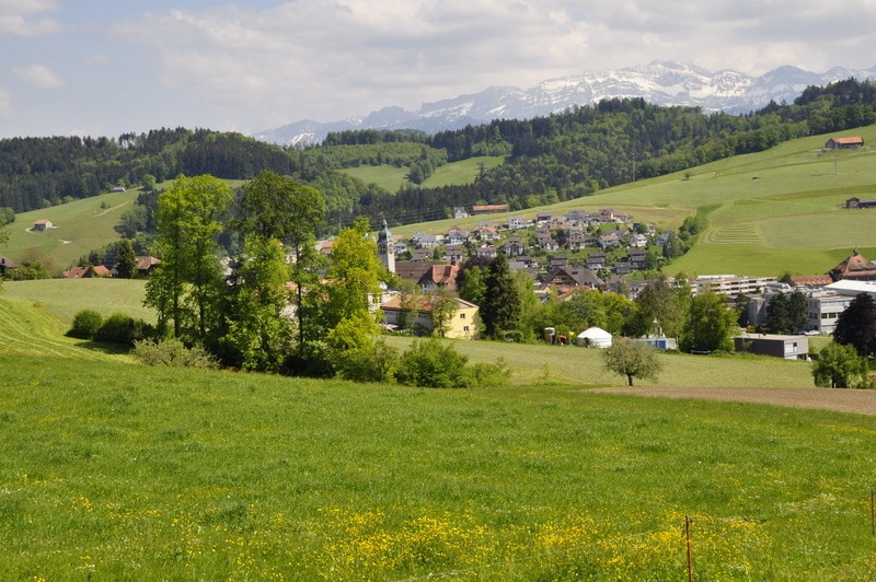 _DSC0078.jpg