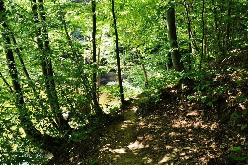 _DSC0163.JPG