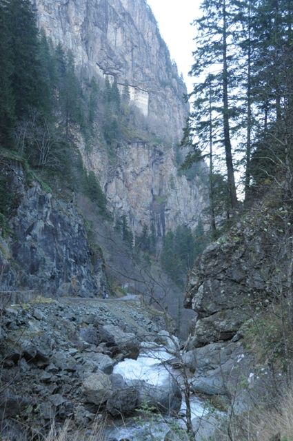 _DSC0187.jpg