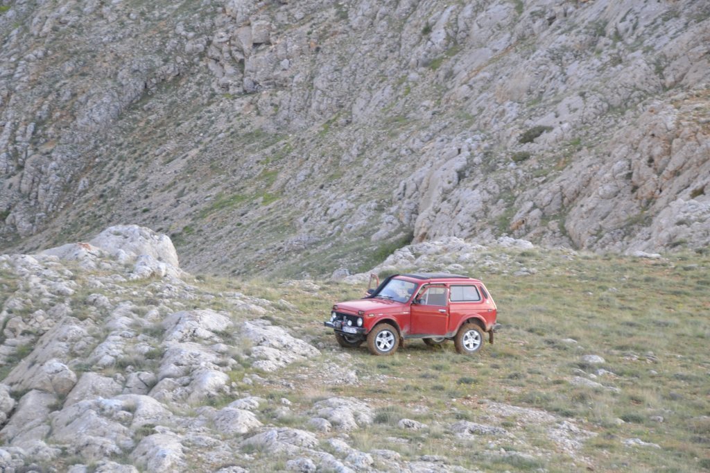 _DSC0246.jpg